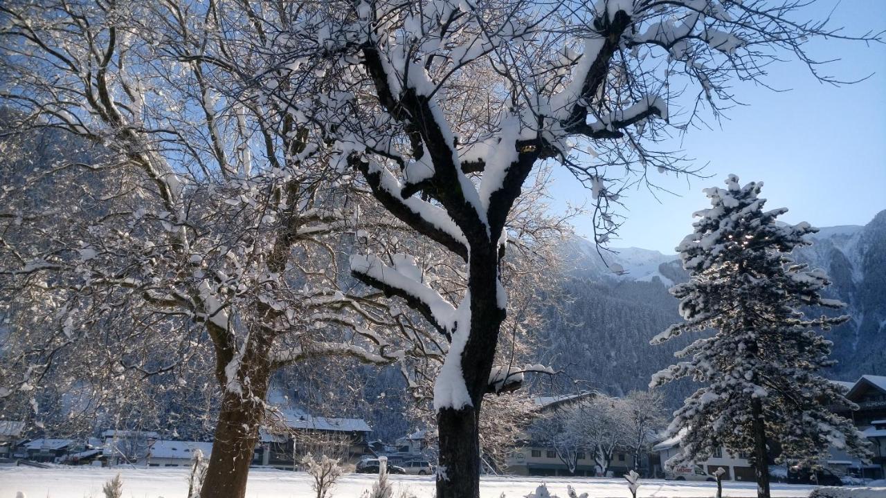 Hotel Garni Birkenhof Mayrhofen Exteriér fotografie